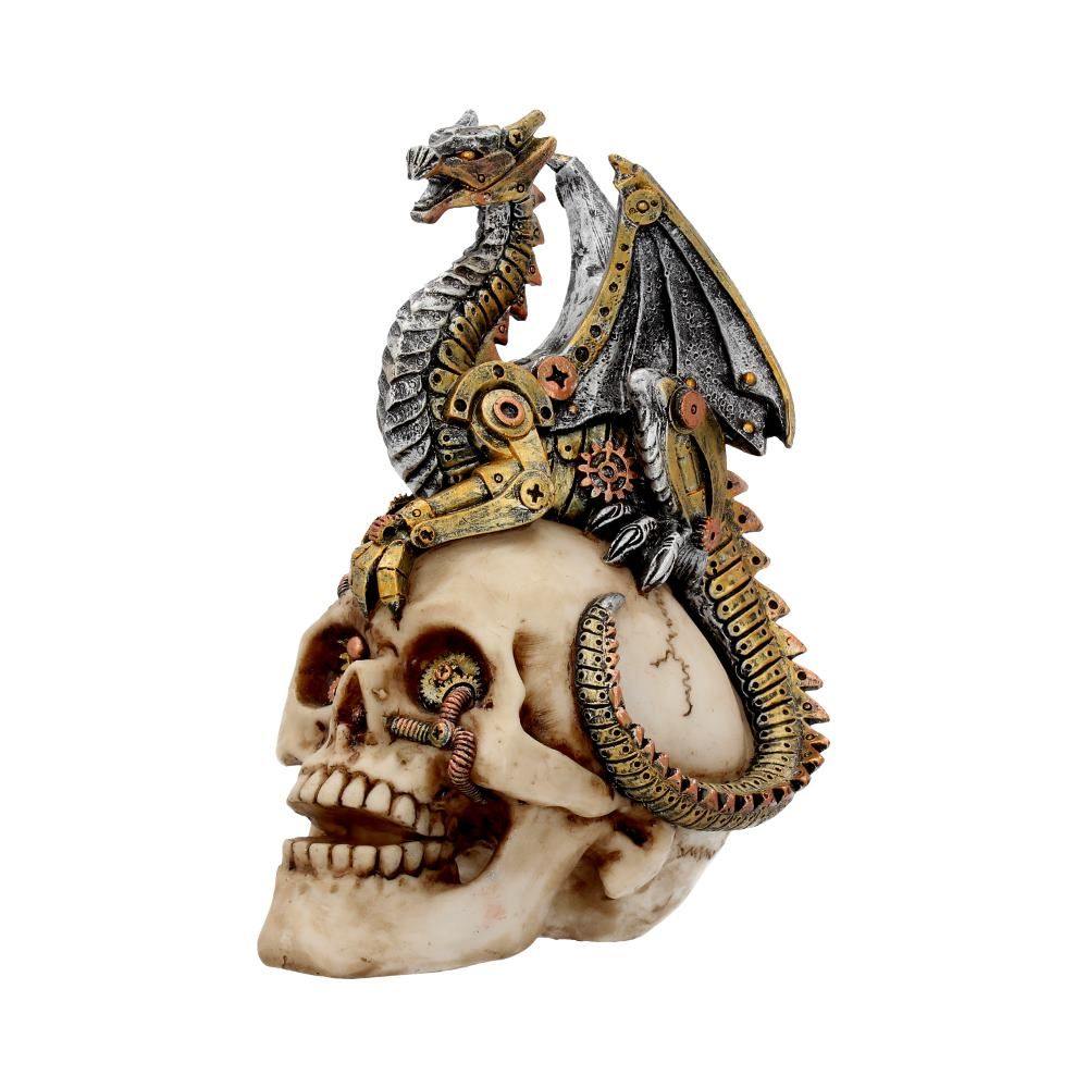 Nemesis Now - Dragon's Grasp 18.5cm Figurine - Skull - Multicolours